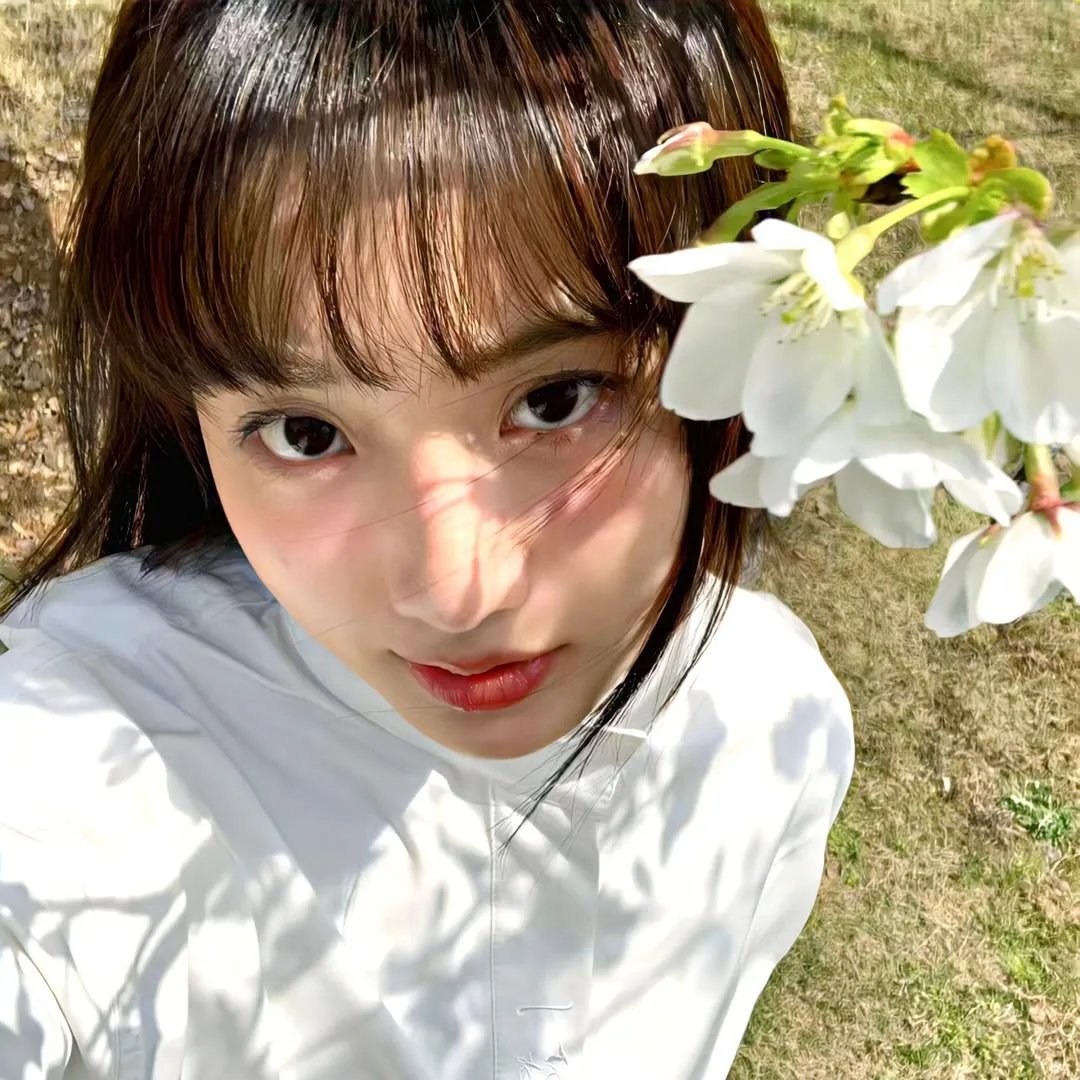 菜单(影片)