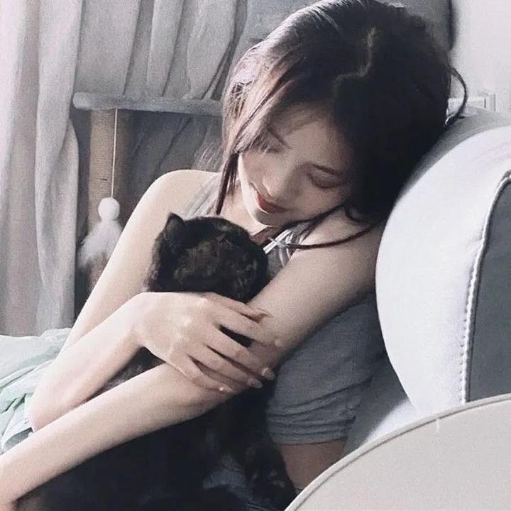 我亲爱的莫妮卡